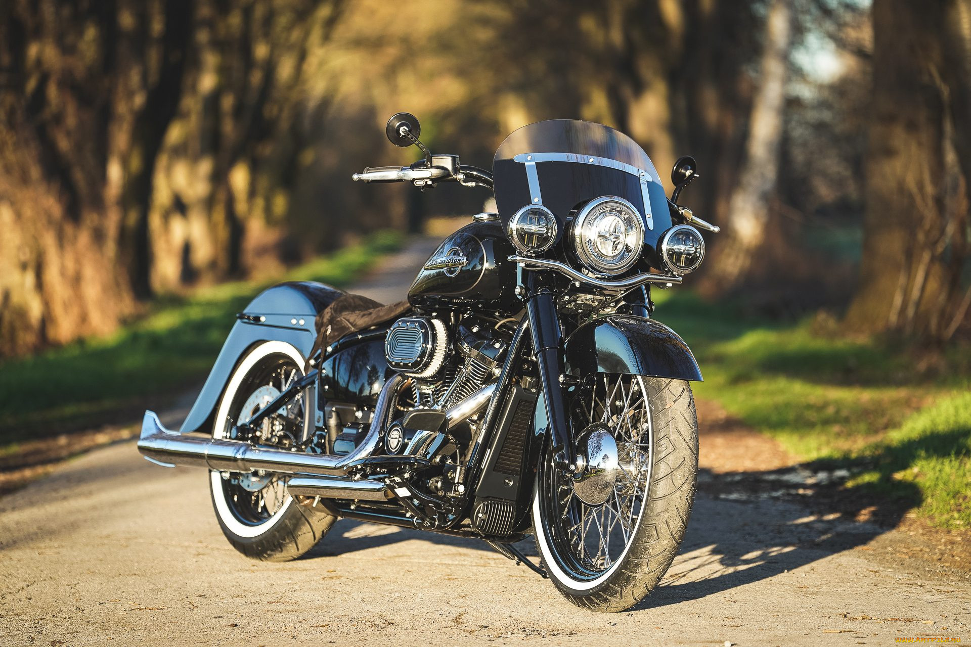 harley, , harley-davidson, thunderbike, customs, , 